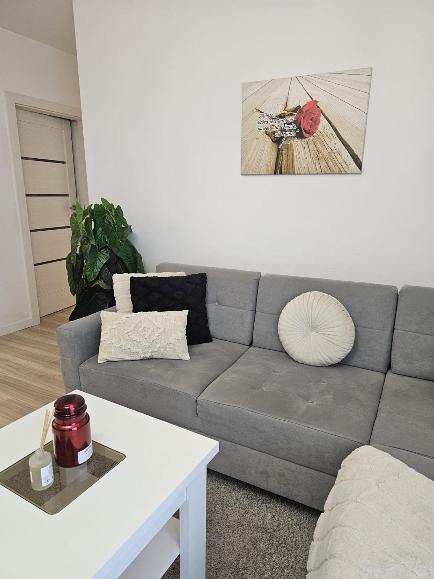 Apartment 2 Bed In Zyrardow